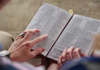 How to learn Foreign Trade Business English? Just read this one!